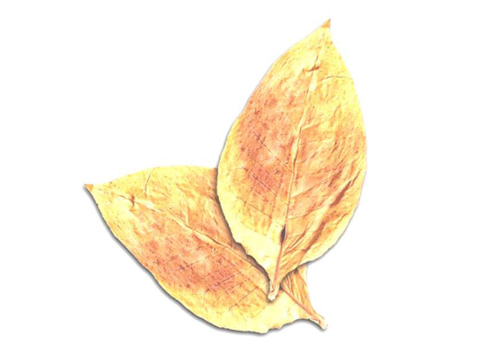 打葉復(fù)烤(圖1)