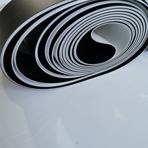 西格林物流帶木工行業輸送帶物流伸縮機木工行業后期加工（進料、貼面、層壓）(圖1)