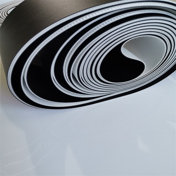 西格林物流帶木工行業輸送帶物流伸縮機木工行業后期加工（進料、貼面、層壓）(圖6)